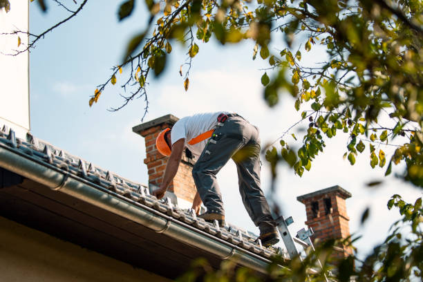 Best Metal Roofing Contractor  in Grinnell, IA
